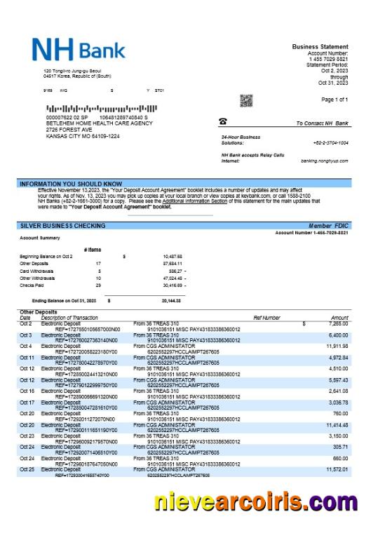 NH Bank firm account statement